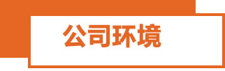 公司环境